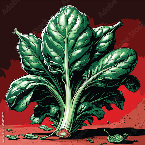 spinach vector image for graphic