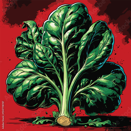 spinach vector image for graphic