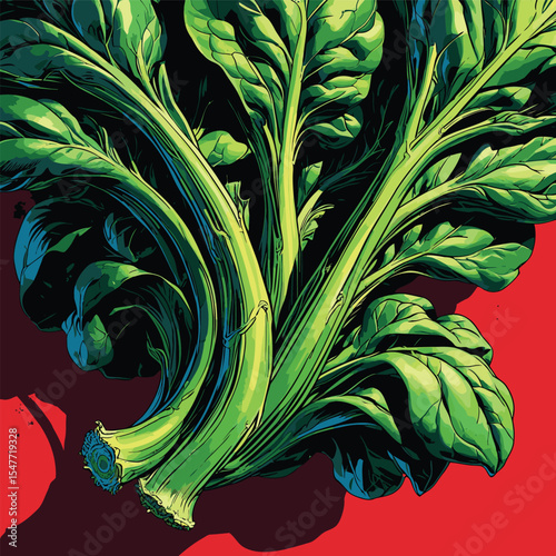 spinach vector image for graphic