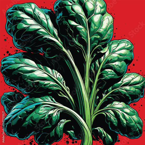 spinach vector image for graphic