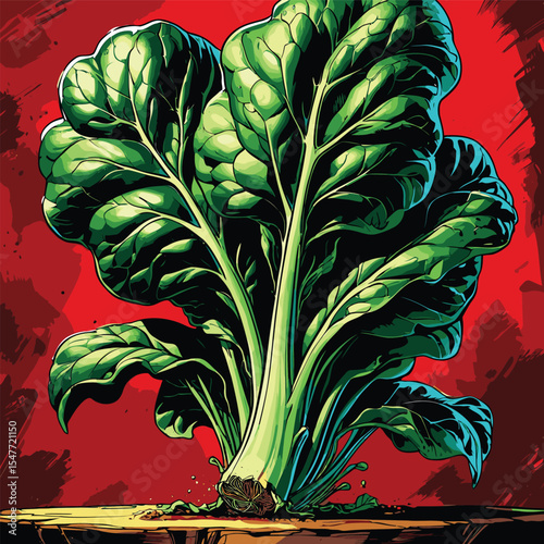 spinach vector image for graphic