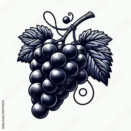 Stylized, detailed graphic illustration of a cluster of dark grapes, with leaves and vines. The grapes are presented in a textured, vintage style.