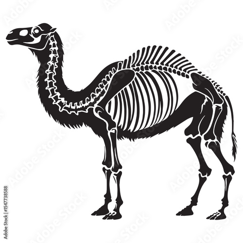 Echoes of arid lands – Camel skeleton silhouette drawn with precision in Camel skeleton vector – Camel skeleton illustration

