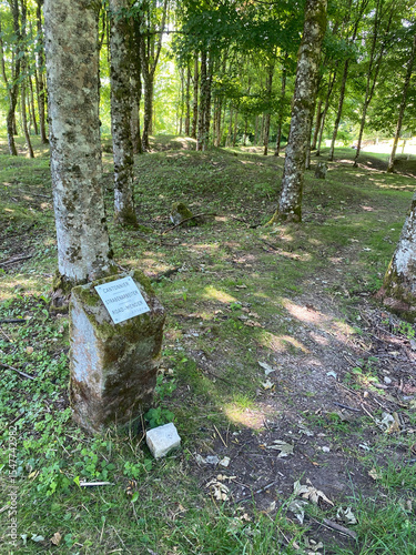 View of the remnants of Fleury-devant-Douaumont, France, where only craters remain, marking the devastation of World War I battles photo