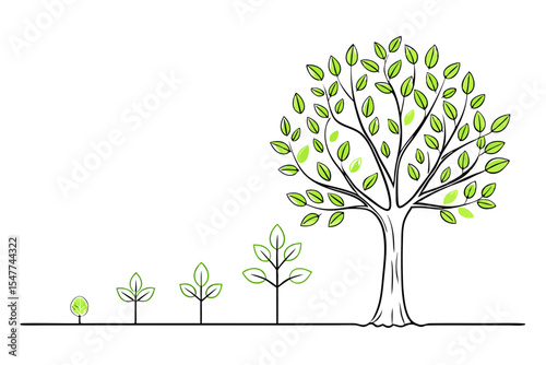 Tree Development Stage Vector Art