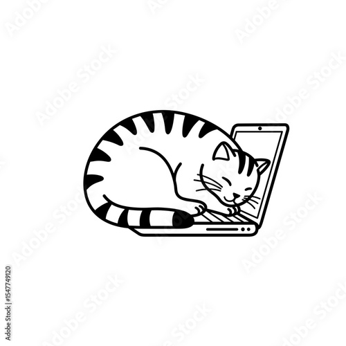 Cat sleeping on laptop with a relaxed posture  