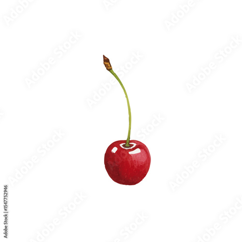 Vector watercolor Cherry / 水彩テイストのさくらんぼイラスト