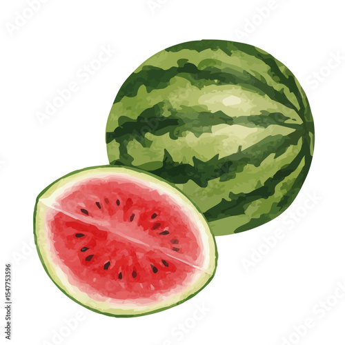 vector watercolor watermelon /水彩テイストのスイカイラスト