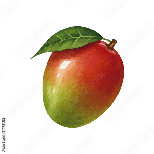 Vector watercolor Mango / 水彩テイストのマンゴーイラスト