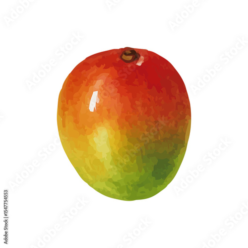 Vector watercolor Mango / 水彩テイストのマンゴーイラスト