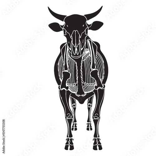 Structural beauty of a herd animal – Cow skeleton silhouette detailed in Cow skeleton vector – Cow skeleton illustration

