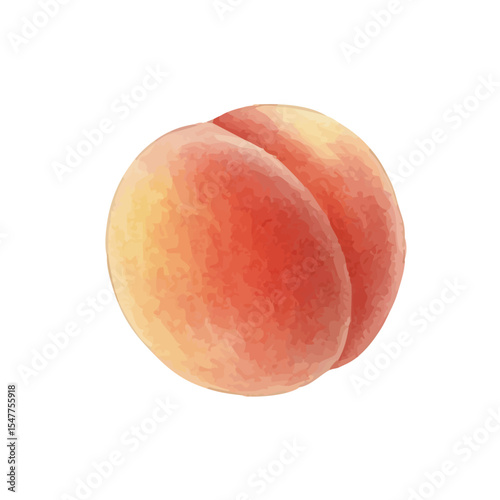 Vector watercolor peach / 水彩テイストの白桃イラスト