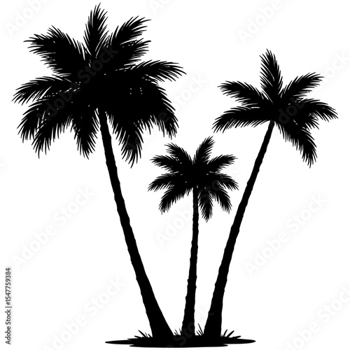 Silhouette of three tropical palm trees with lush fronds, standing together in black ink style, ideal for beach, summer, or tropical themed graphic designs.