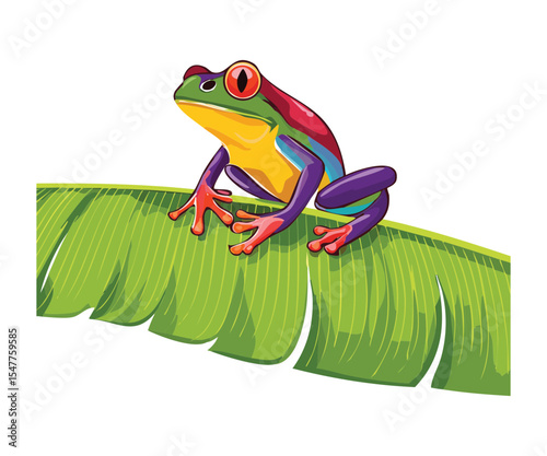 Colorful Frog Resting on Tropical Green Leaf