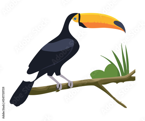 Majestic Toucan Bird Perched on Tropical Tree Branch