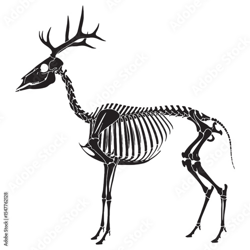 Symbol of nature’s stillness – Deer skeleton silhouette drawn with refined Deer skeleton vector – Deer skeleton illustration

