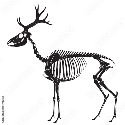 The skeletal grace of woodland life – Deer skeleton silhouette expressed through Deer skeleton vector – Deer skeleton illustration


