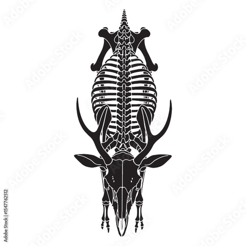 Form of a silent creature – Deer skeleton silhouette crafted in light Deer skeleton vector – Deer skeleton illustration

