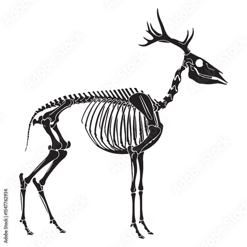 A poetic trace of wilderness – Deer skeleton silhouette reimagined in graceful Deer skeleton vector – Deer skeleton illustration

