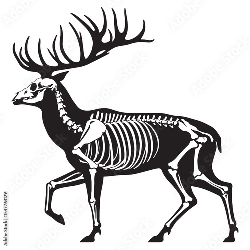 From woods to lines – Deer skeleton silhouette drawn with classic Deer skeleton vector – Deer skeleton illustration

