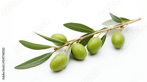 Wallpaper Mural branch olives on white Torontodigital.ca