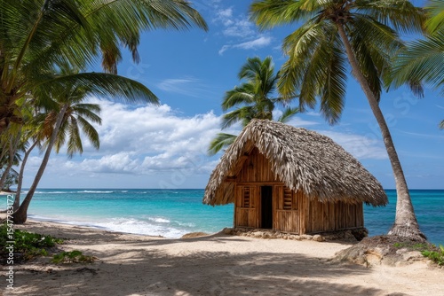Thatched hut on tropical beach clear turquoise water palm trees sunny sky with clouds