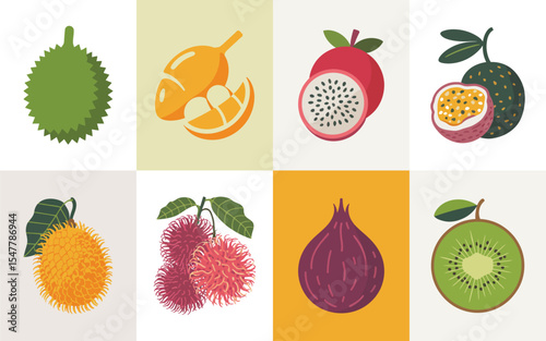 Tropical fruit collection illustration set
