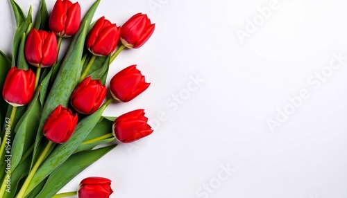 bouquet of red tulips on white background