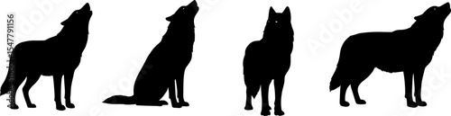 Howling wolf silhouette illustration, wild animal black vector, forest predator outline, standing and sitting wolf pose, wildlife graphic clipart for nature, hunting, wilderness art