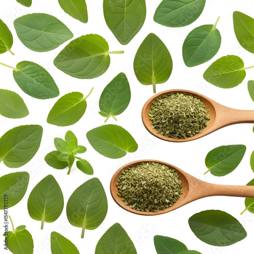 Oregano or marjoram leaves fresh and dry in wooden spoon isolated on white background with clipping path and full depth of field