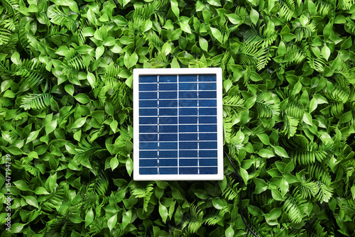 Portable solar panel on gre...