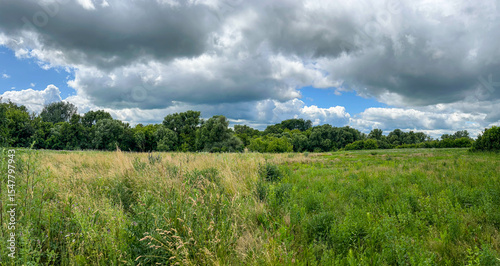 Fototapeta Naklejka Na Ścianę i Meble -  Panoramic view of a summer meadow with tall grass and dense green trees under a dramatic sky. Perfect for backgrounds, banners, and nature-themed design.