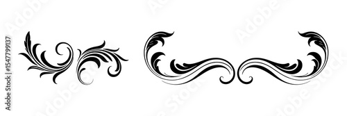 Elegant Flourishes and Swirls Design