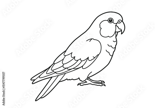 Parrot drawing. It is a black and white outline sketch of a parrot, a popular tropical bird often kept as a pet. Vector sketch line art draw.