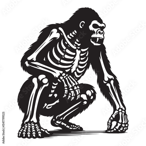 The skeletal essence of a giant primate – Gorilla skeleton silhouette with precise Gorilla skeleton vector – Gorilla skeleton illustration

