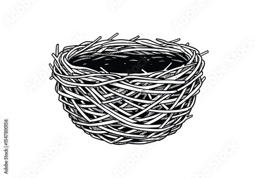 Parrot nest drawing. It is a black and white outline sketch of a bird's nest, a natural habitat for parrots and other birds. Vector sketch line art draw.