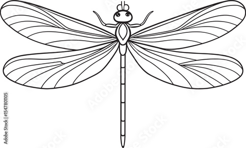 Damselfly wings nature illustration for creative coloring and education