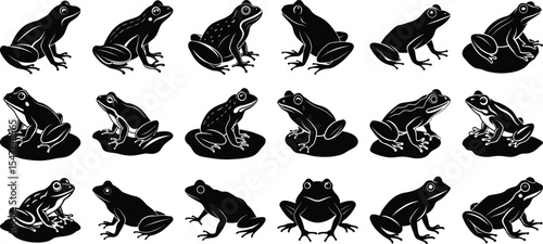 Big Frog Silhouette Vector, on white background.