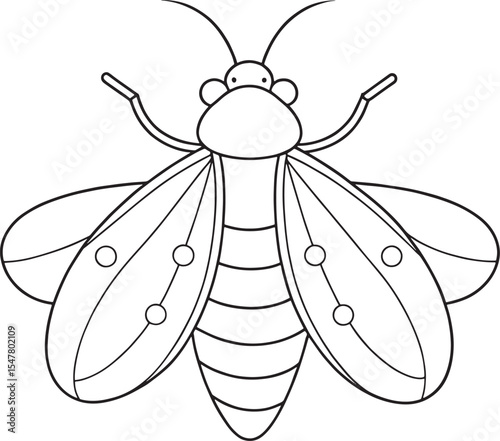 Firefly cartoon line art for kids bug learning and coloring pages