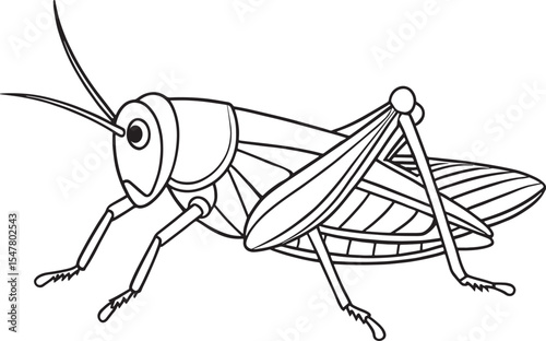 Grasshopper bug line drawing for coloring and outdoor learning fun