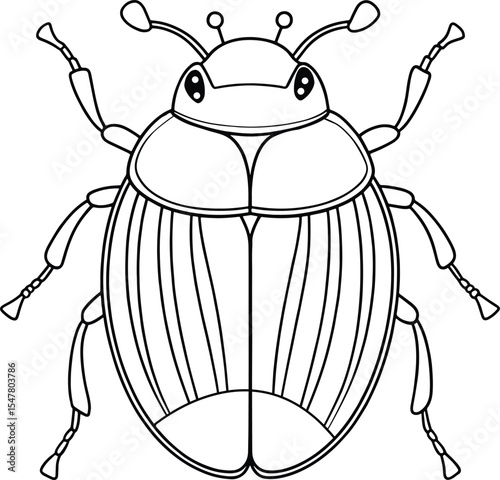 June bug cute drawing for children’s nature and bug learning pages