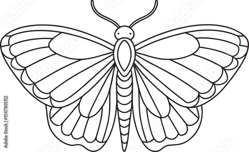 Moth drawing for bug-themed coloring books and learning projects