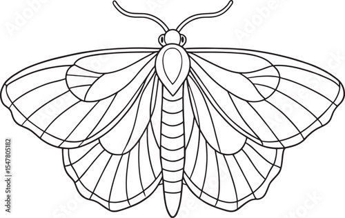 Moth insect wings illustration for coloring and creative learning