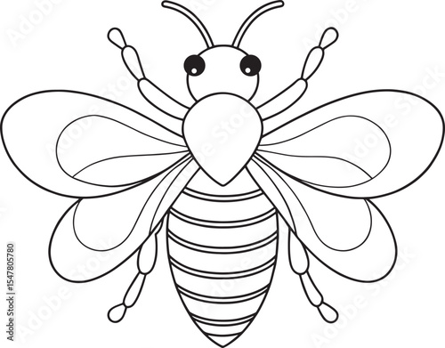 Queen bee drawing for learning insect facts and coloring worksheets