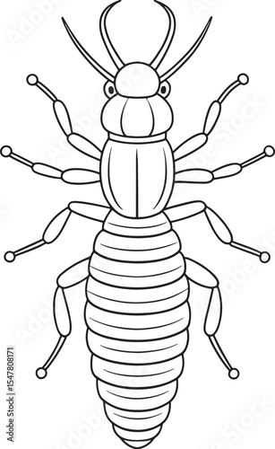 Termite bug line drawing for kids coloring and bug learning fun