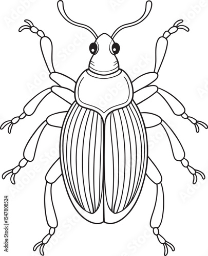 Weevil bug line drawing for coloring and botanical insect study