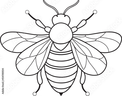 Bumblebee line art for insect study and printable coloring fun