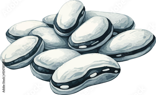 Vector watercolor painted illustration of black and white beans
