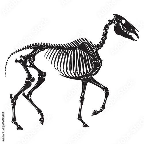 Elegance in anatomical form – Horse skeleton silhouette designed as detailed Horse skeleton vector – Horse skeleton illustration

