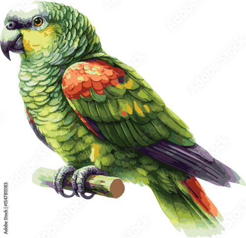 Adorable watercolor style illustration of a cute realistic parrot isolated on white background